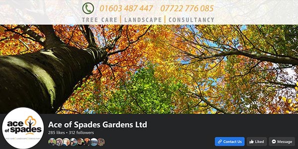 Ace of Spades Social Media Branding Norwich