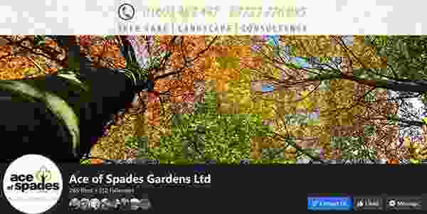 Ace of Spades Social Media Branding Norwich