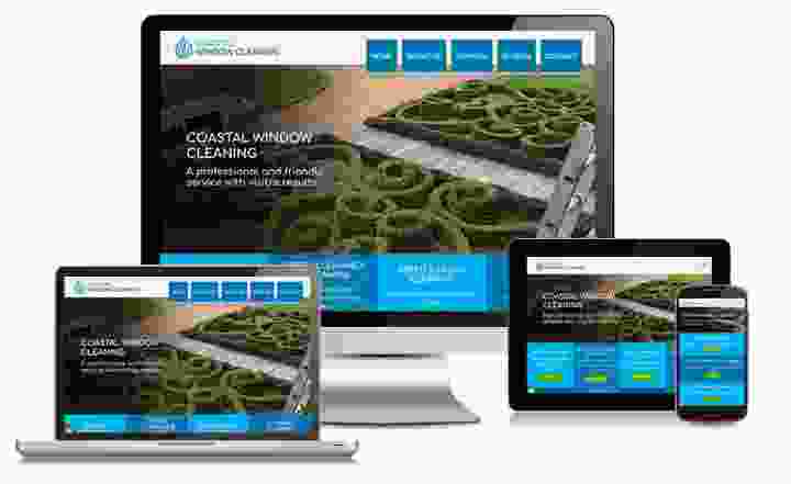 Window cleaners website design