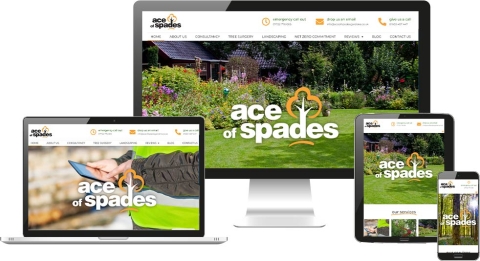 Ace of spades website design norwich