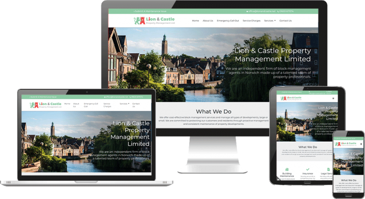 Boucher style website design Norwich