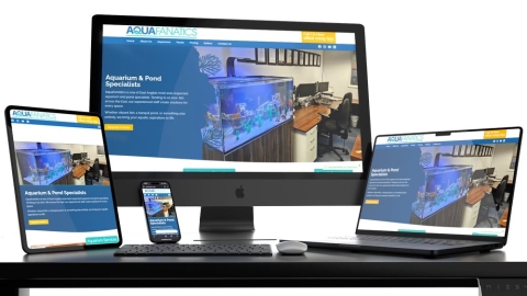 Professional Website Designers in the Norwich Area