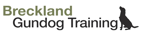 Breckland Gun Dog Training