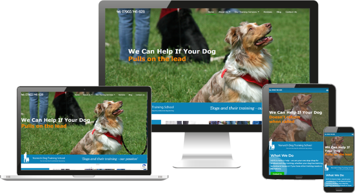 Gutter vac website design