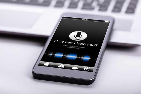 Siri Voice Search